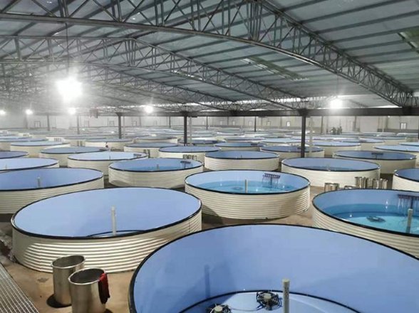 Estanque modular galvanizado para proyectos de tilapia